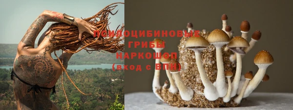 прущие грибы Алексеевка