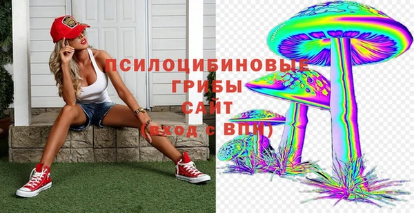 спайс Алзамай