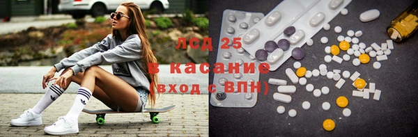 прущие грибы Алексеевка