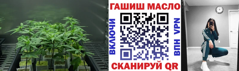 ТГК вейп  Оленегорск 