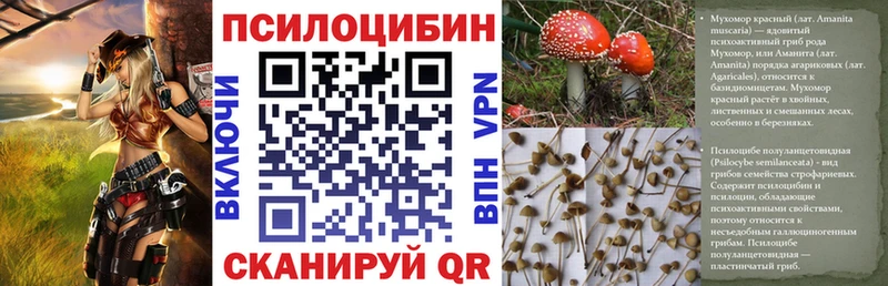 купить  сайты  ссылка на мегу вход  Галлюциногенные грибы Psilocybe  Оленегорск 