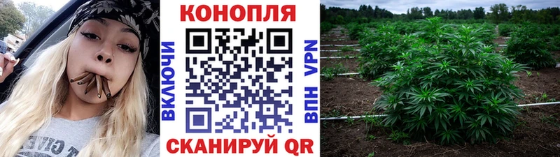 Бошки марихуана марихуана mega вход Оленегорск